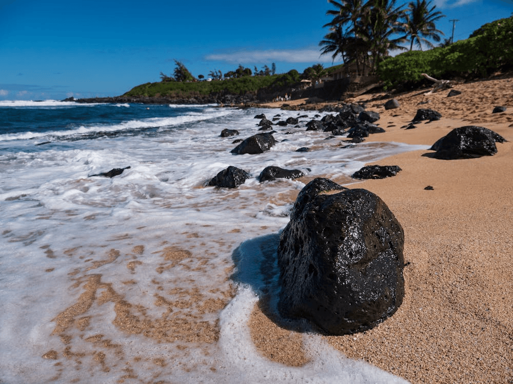 Hawaiian Paradise Escape